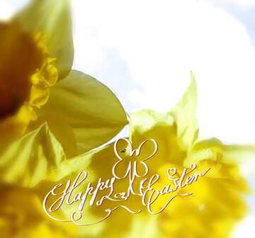 FX №119786  happy easter card