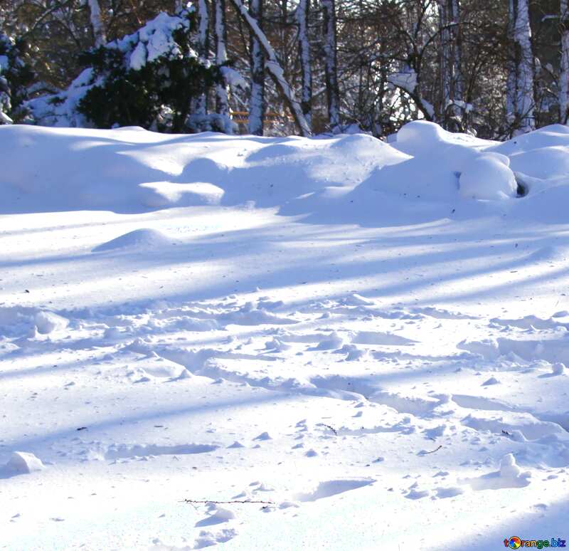 snow traces №4250