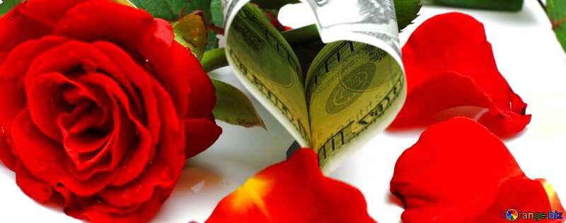 Обложка. Сердечко из денег и роза. №16839