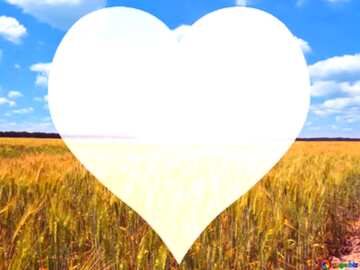 FX №121359 Wheat field love heart template