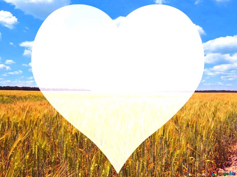 Wheat field love heart template №27268
