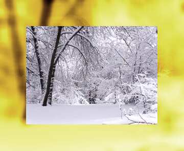 FX №123816 White winter landscape  fuzzy border