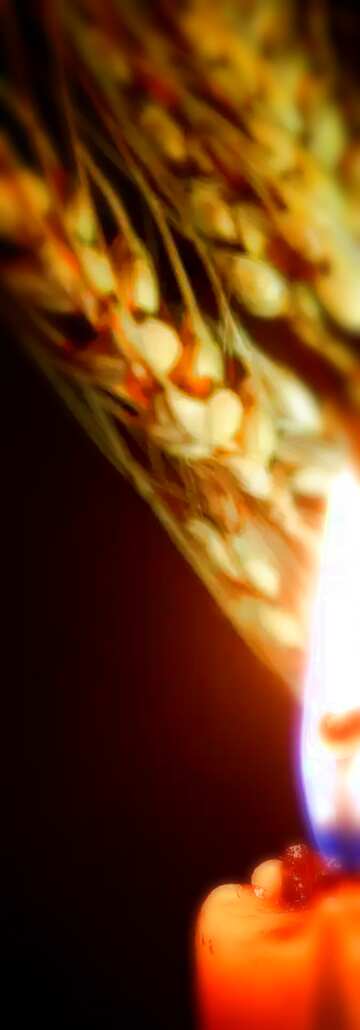 FX №123503 Famine blur frame  vertical background