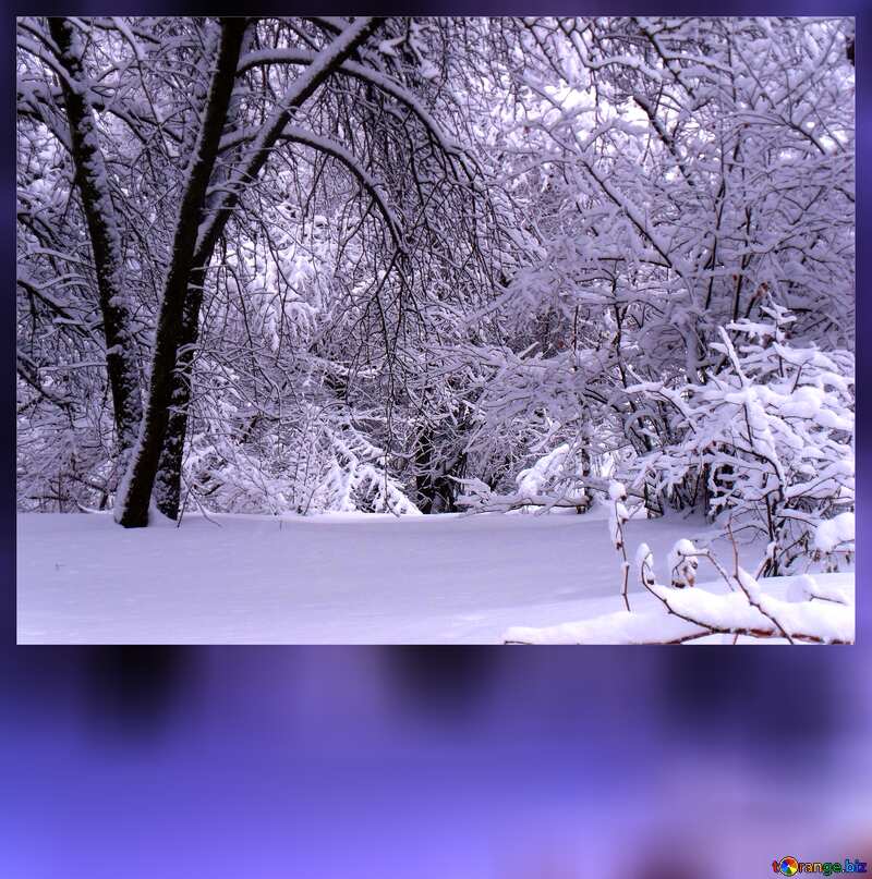 Winter  landscape  blank card №10533