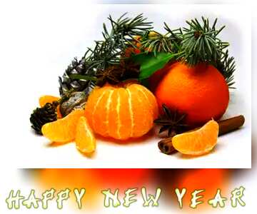 FX №127217 Christmas composition mandarins happy new year card