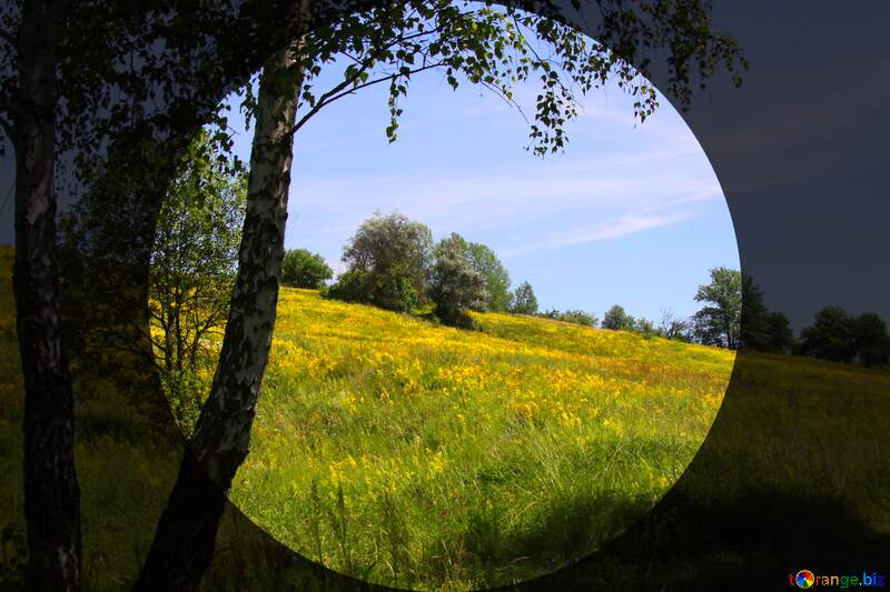 Circle frame  trees, bushes, grass, lots of green, a blue sky, clouds №20272