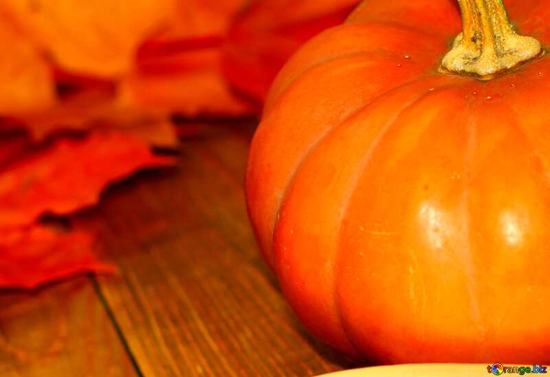  pumpkin background №35177