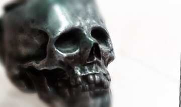 FX №129390  humain skull