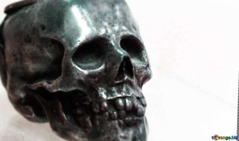  humain skull №44303