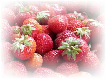 FX №13142 strawberries white frame