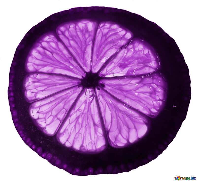 Фиолетового цвета. Текстура кружок лимона. №16165