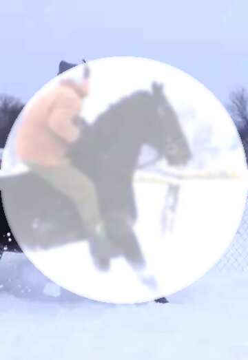 FX №131003  horse Rider snow template