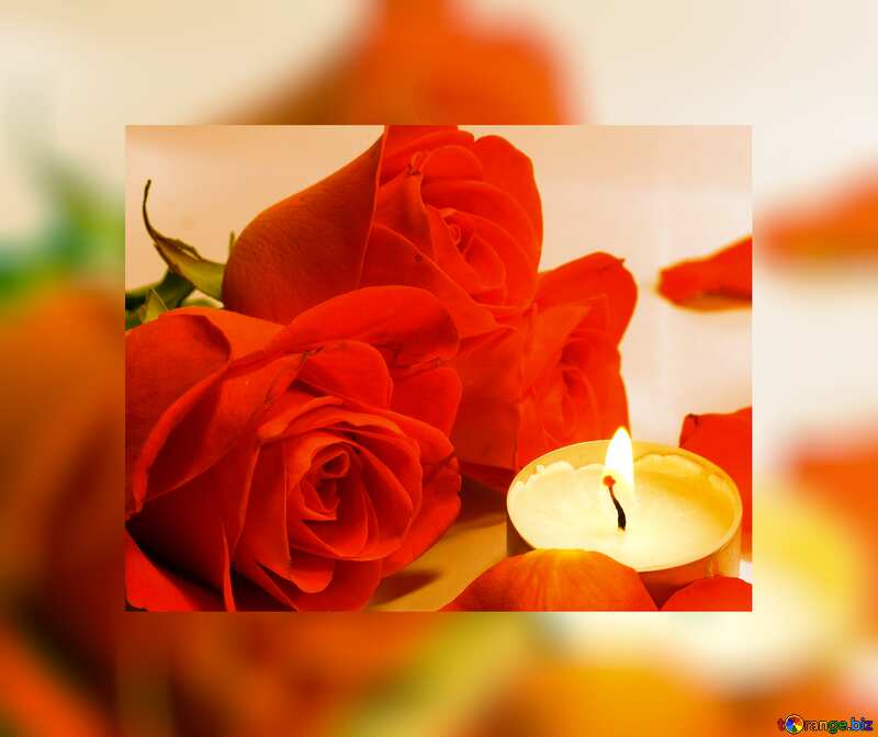 candle night  roses petals fuzzy border №7275