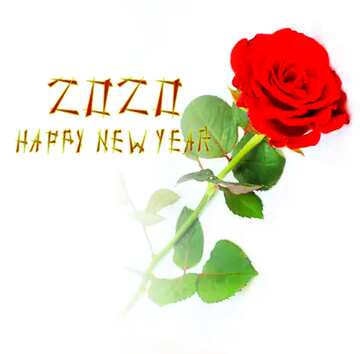 FX №136564 2020 happy new year  Red rose
