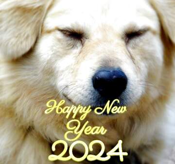 FX №136636 happy new year 2024 dog