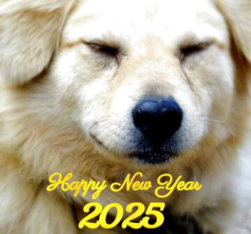 FX №136636 happy new year 2024 dog