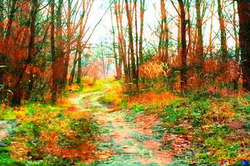 FX №136396 Road in sunny autumn forest 