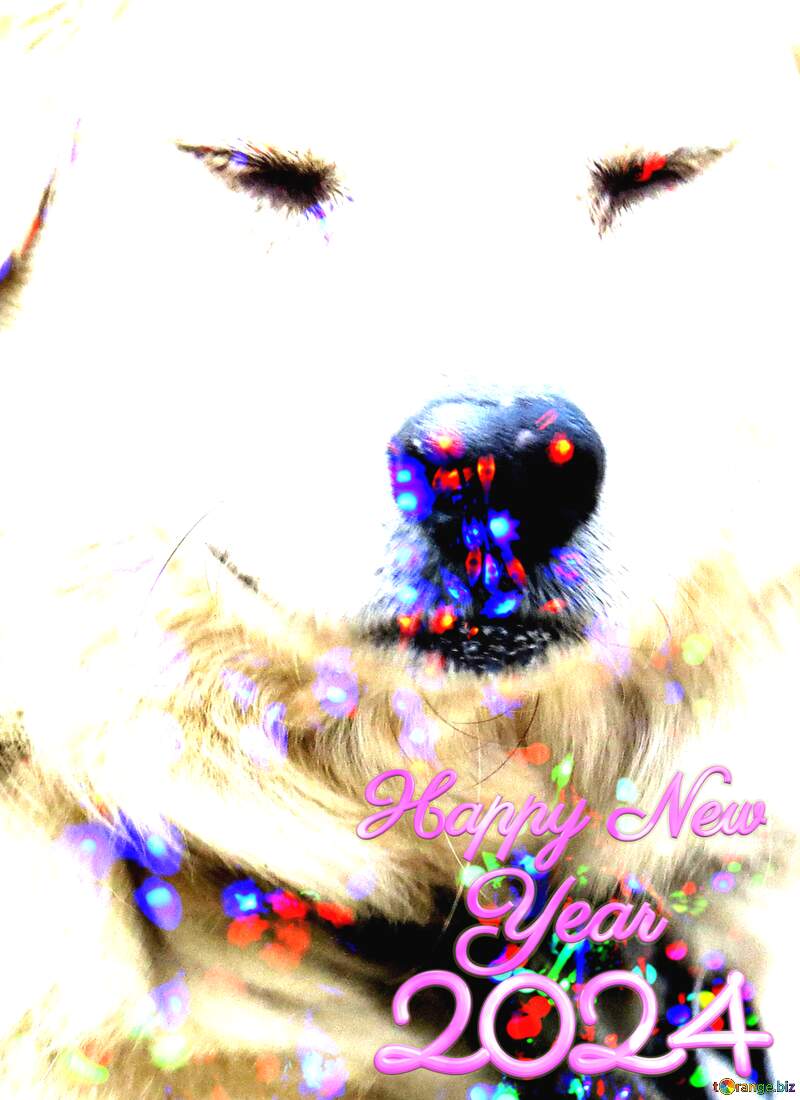 Happy New  Year 2024 dog №23936