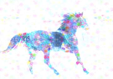 FX №137718 Gala horse
