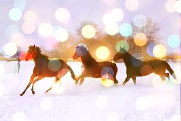 FX №137847 Horses running in the snow Christmas background