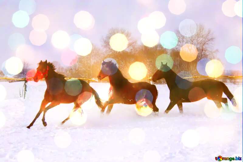 Horses running in the snow Christmas background №3980