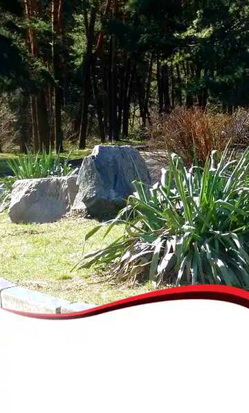 FX №138610 The large stones in the garden red ribbon border