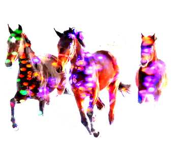 FX №138475 Three colorful horses 