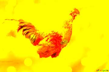 FX №139185 rooster on gold  background
