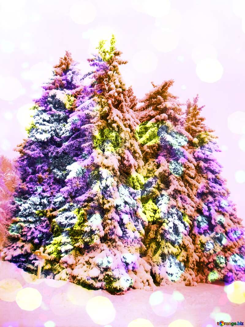 Colorful snow pine tree №10529