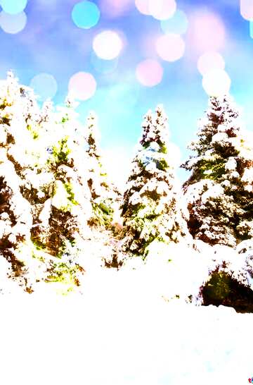 FX №140737 Forest fir Tree  Snow  sun     