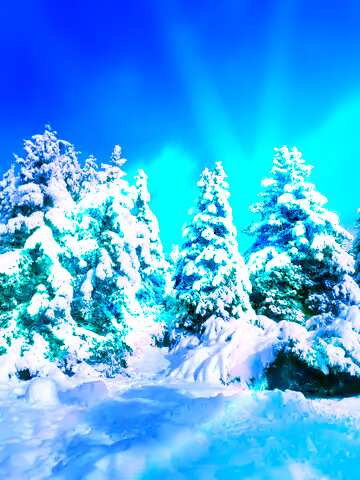 FX №140735 Forest Tree  Snow  sun     
