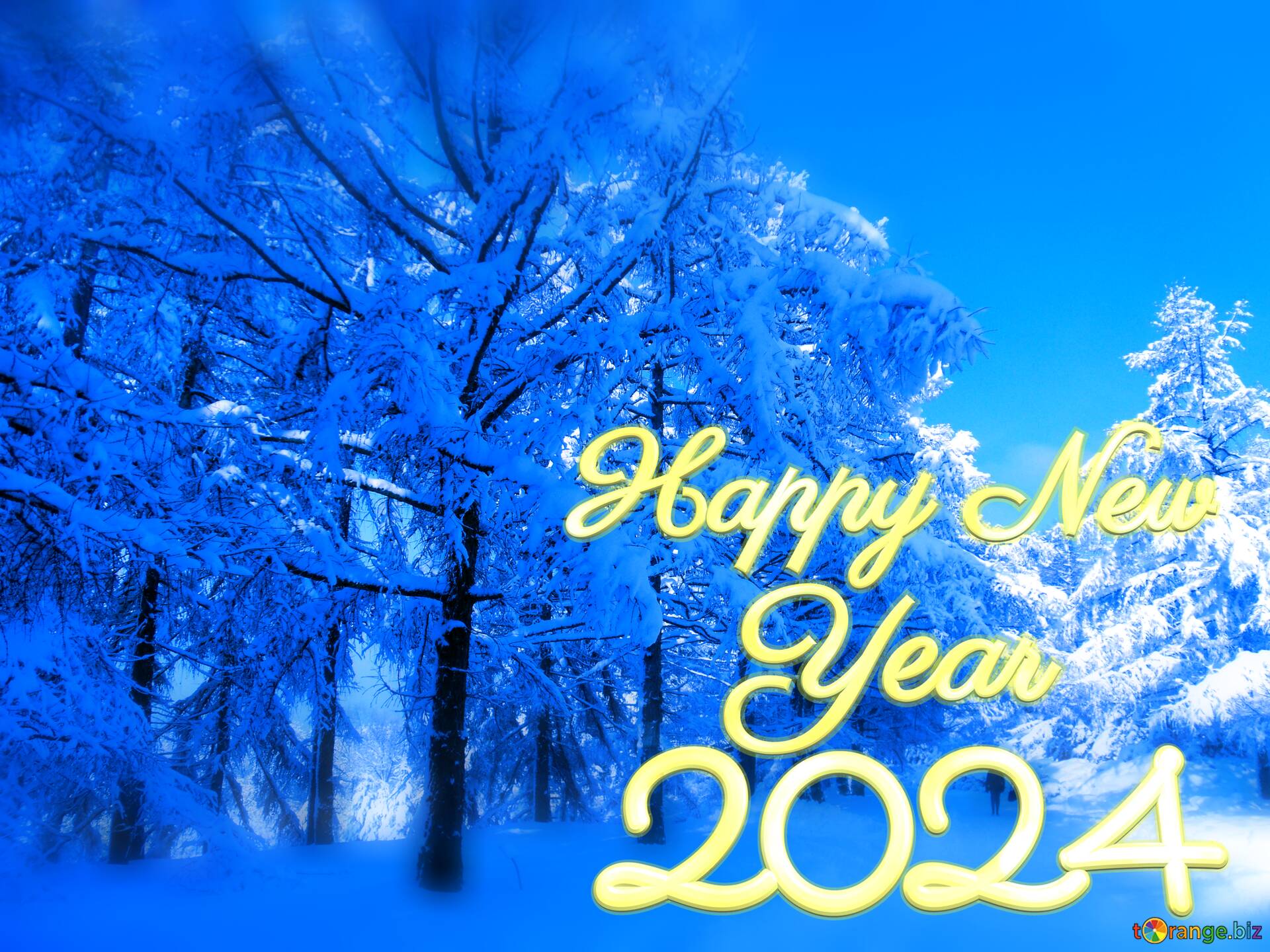 happy new year 2024 Snow Winter blue forest №141797