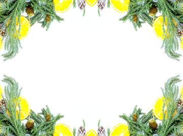 FX №141664 Christmas wreath frame