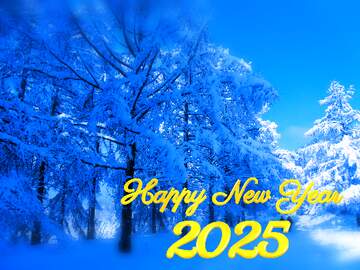 FX №141797 happy new year 2024 Snow Winter blue forest