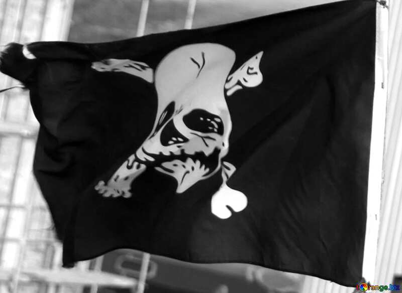 Piracy flag.  black and  white №2275