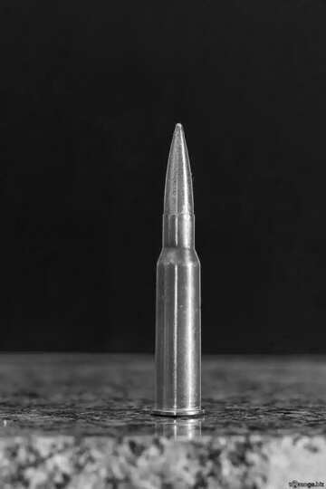 FX №142073 Rifle bullet cartridge black white