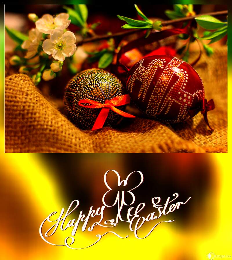 Easter eggs and sprig of flowering tree frame №30120