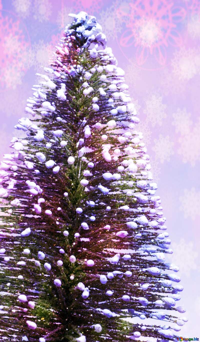 A lighted Christmas tree №6611