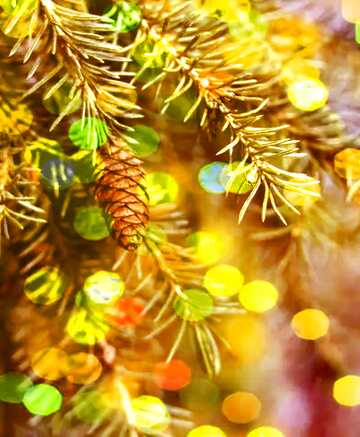 FX №146841 The branch of the pine cones tree bokeh background