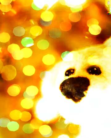 FX №148405 puppy dog. greetings background. Christmas Copyspace background