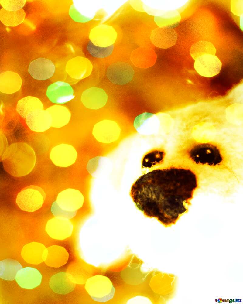 puppy dog. greetings background. Christmas Copyspace background №49625