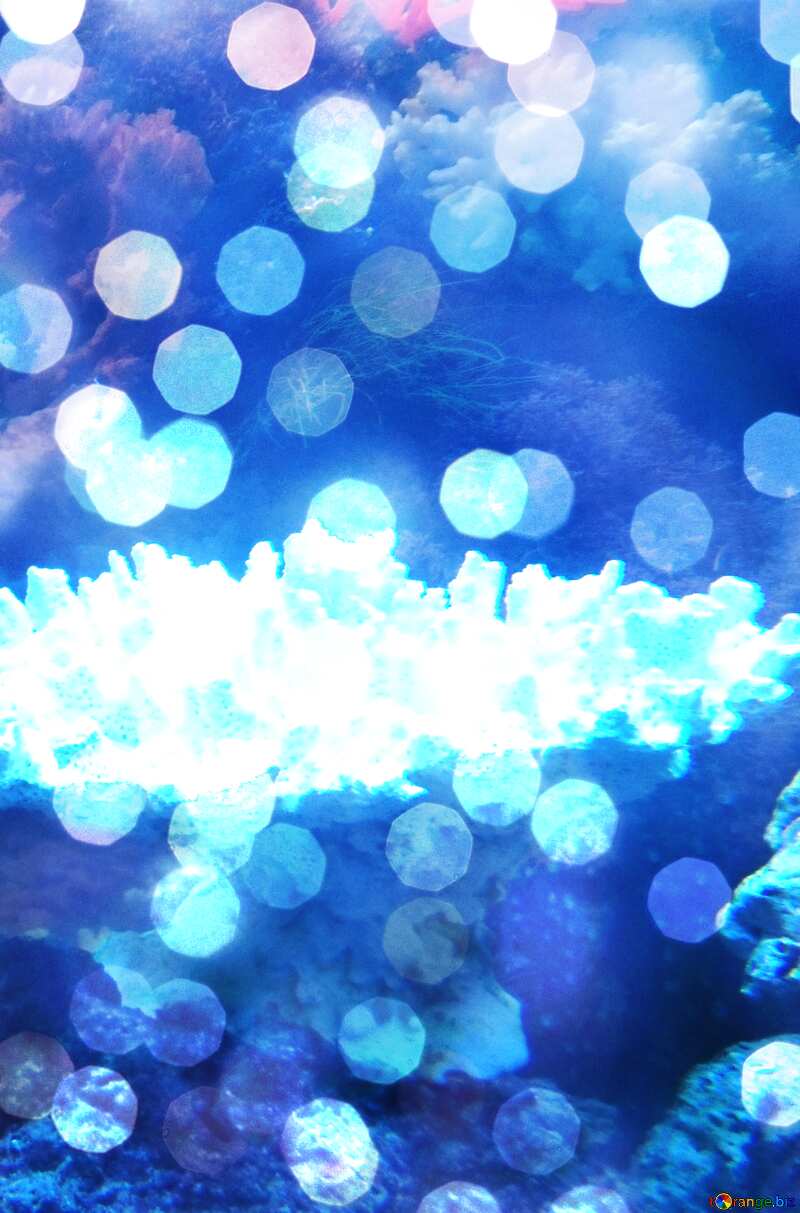 Christmas blue  sparkles bokeh  background №21428