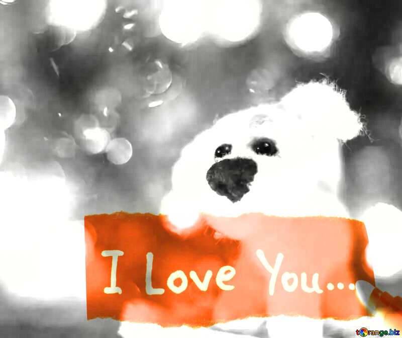 I love you text. toy from wool dog. №49625