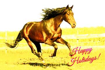FX №149495 Horse Happy Holidays