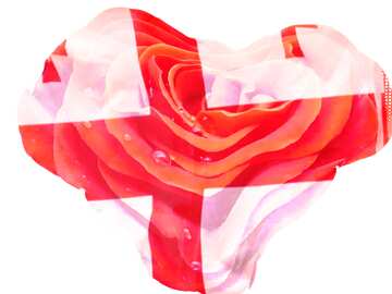 FX №151067 Georgian Rose flag