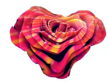 FX №151045  Rose heart