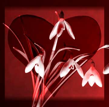FX №151373 Free clip art flowers Red heart in frame