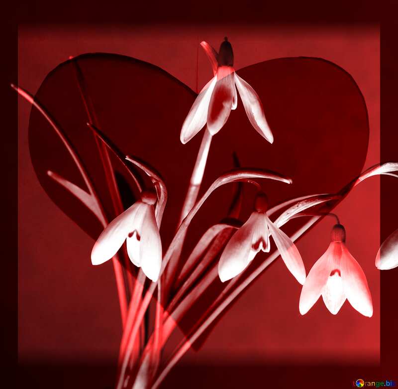 Free clip art flowers Red heart in frame №38228