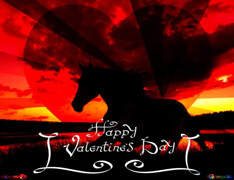 Horse happy valentines day №49236