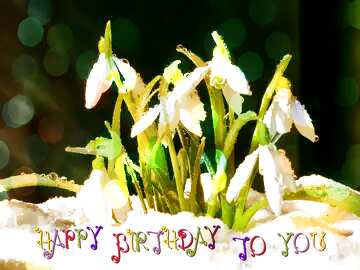 FX №154390 happy birthday background Spring flowers